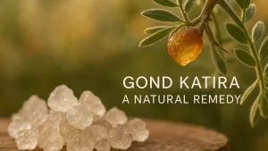 Gond Katira