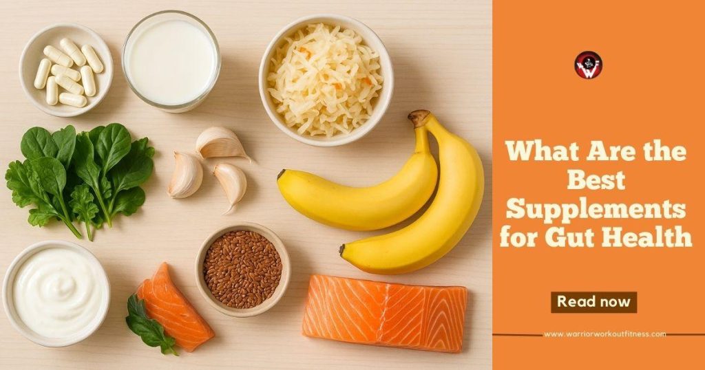 gut health supplements