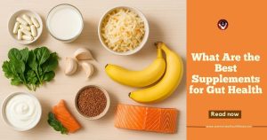 gut health supplements